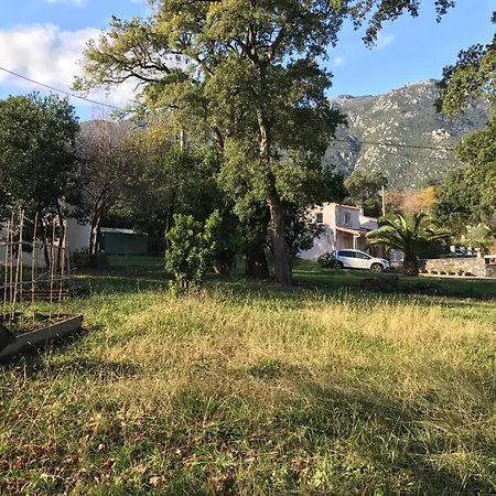 Corse Carpe Diem Vue 6 Pers Piscine Villa *