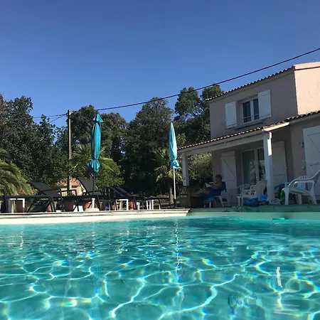 Corse Carpe Diem Vue 6 Pers Piscine Villa