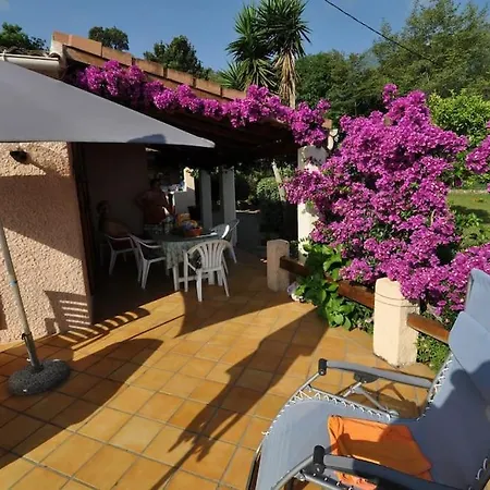 Corse Carpe Diem Vue 6 Pers Piscine Villa *