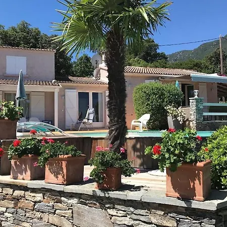 Corse Carpe Diem Vue 6 Pers Piscine Villa *