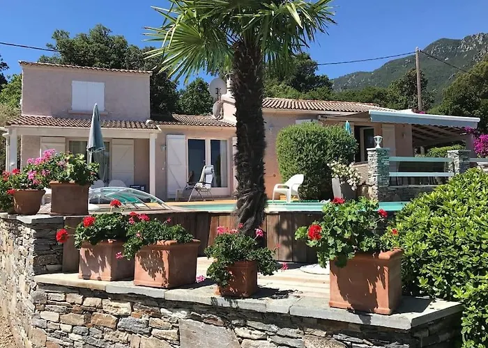 Corse Carpe Diem Vue 6 Pers Piscine Villa *